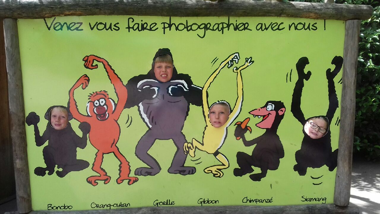 Visite du zoo