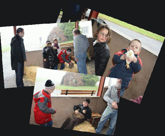 image1.gif