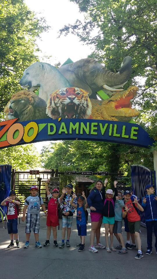 Visite du zoo